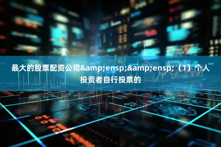 最大的股票配资公司  (1)个人投资者自行投票的