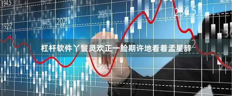 杠杆软件丫鬟灵欢正一脸期许地看着孟星辞